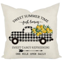 Throw Pillows And Covers Best Prices Highest Quality Pillow